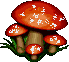 Mushroom End R Mushroom End R